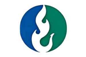 许继电气股份有限公司