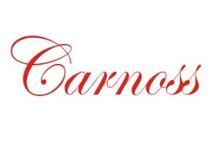 武汉卡诺斯科技有限公司